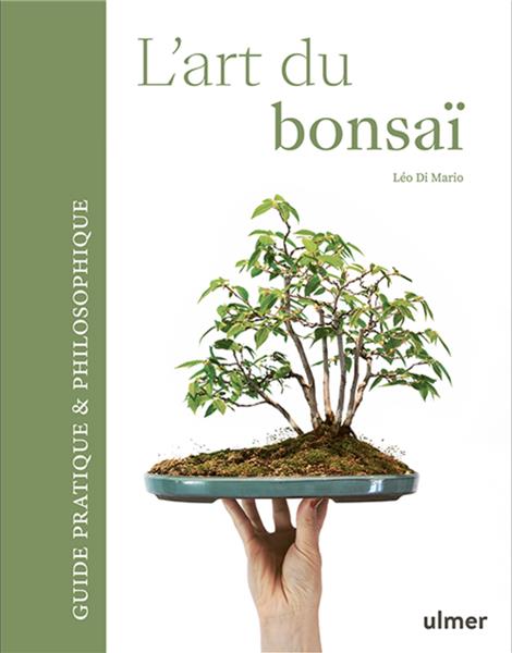 Guide pratique pour entretenir ses bonsaïs - Paperboard