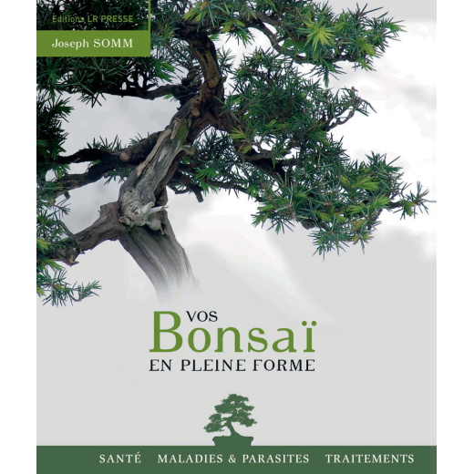 Vos bonsaï en pleine forme