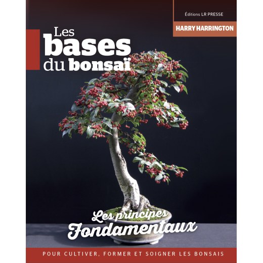 Les bases du bonsaï - Les fondamentaux