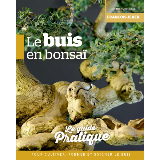 Le buis en bonsaï