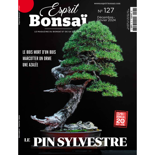 Esprit Bonsaï n°127