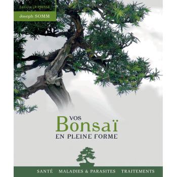 Vos bonsaï en pleine forme