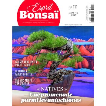 Esprit Bonsaï n°111