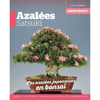 Azalées Satsuki, les azalées japonaises en bonsaï