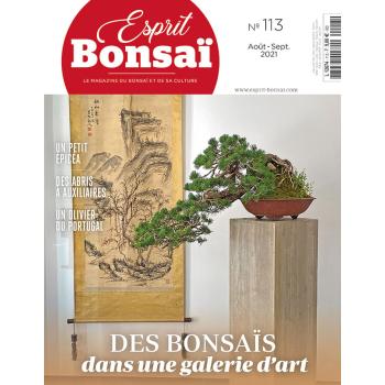 Esprit Bonsaï n°113