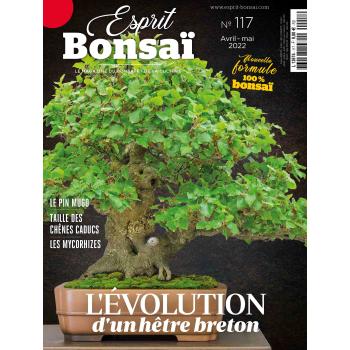 Esprit Bonsaï n°117