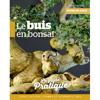 Le buis en bonsaï