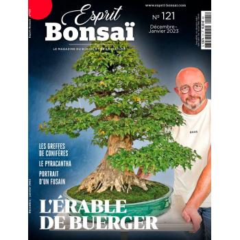 Esprit Bonsaï n°121