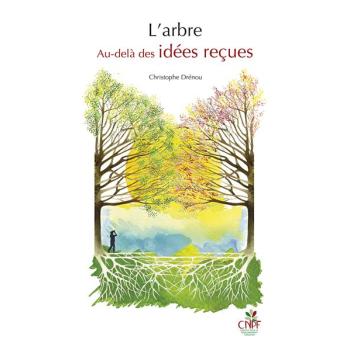 L'arbre Au delà des idées recues