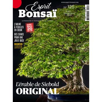 Esprit Bonsaï n°125