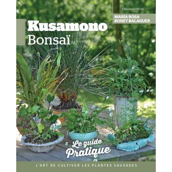 Kusamono bonsaï