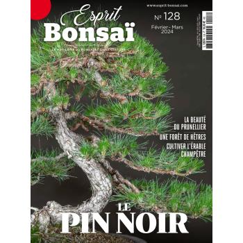 Esprit Bonsaï n°128