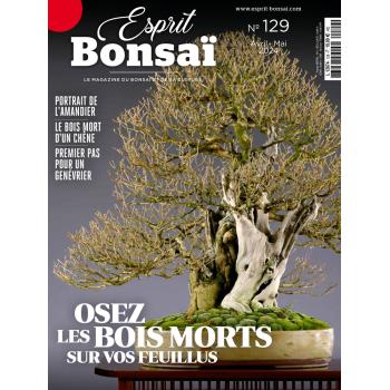 Esprit Bonsaï n°129