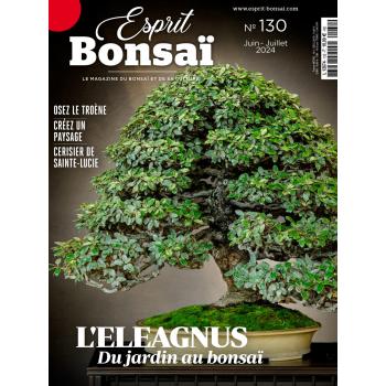 Esprit Bonsaï n°130