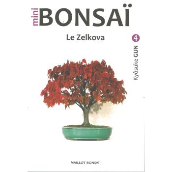 Mini Bonsaï - Le Zelkova