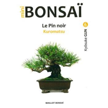 Mini Bonsaï - Le Pin noir Kuromatsu