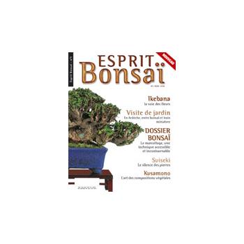 Esprit-Bonsaï n° 001